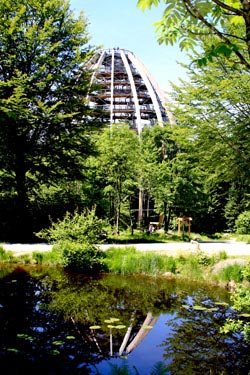 Baumturm, Teil des Baumwipfelpfads; im Nationalpark Bayerischer Wald
