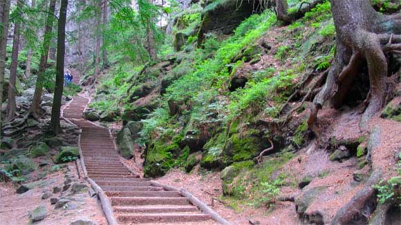 Der Wanderweg zur Bastei ist teilweise als Treppe ausgebaut.