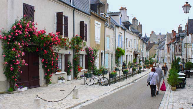 Viele Rosensträucher in einer Straße von Beaugency