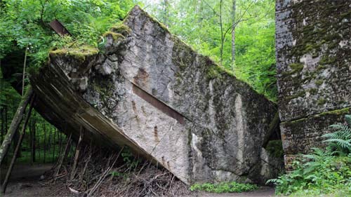 Bunker, - Mauerreste werden langsam von der Natur überwuchert.